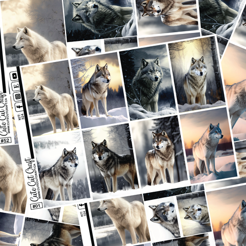 Winter Wolf #324 || Full Boxes