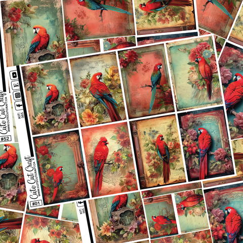 Red Parrot #365 || Full Boxes