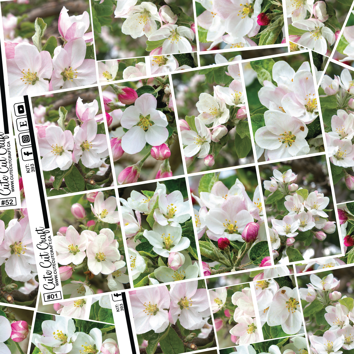 Apples In Bloom #393 || Full Boxes