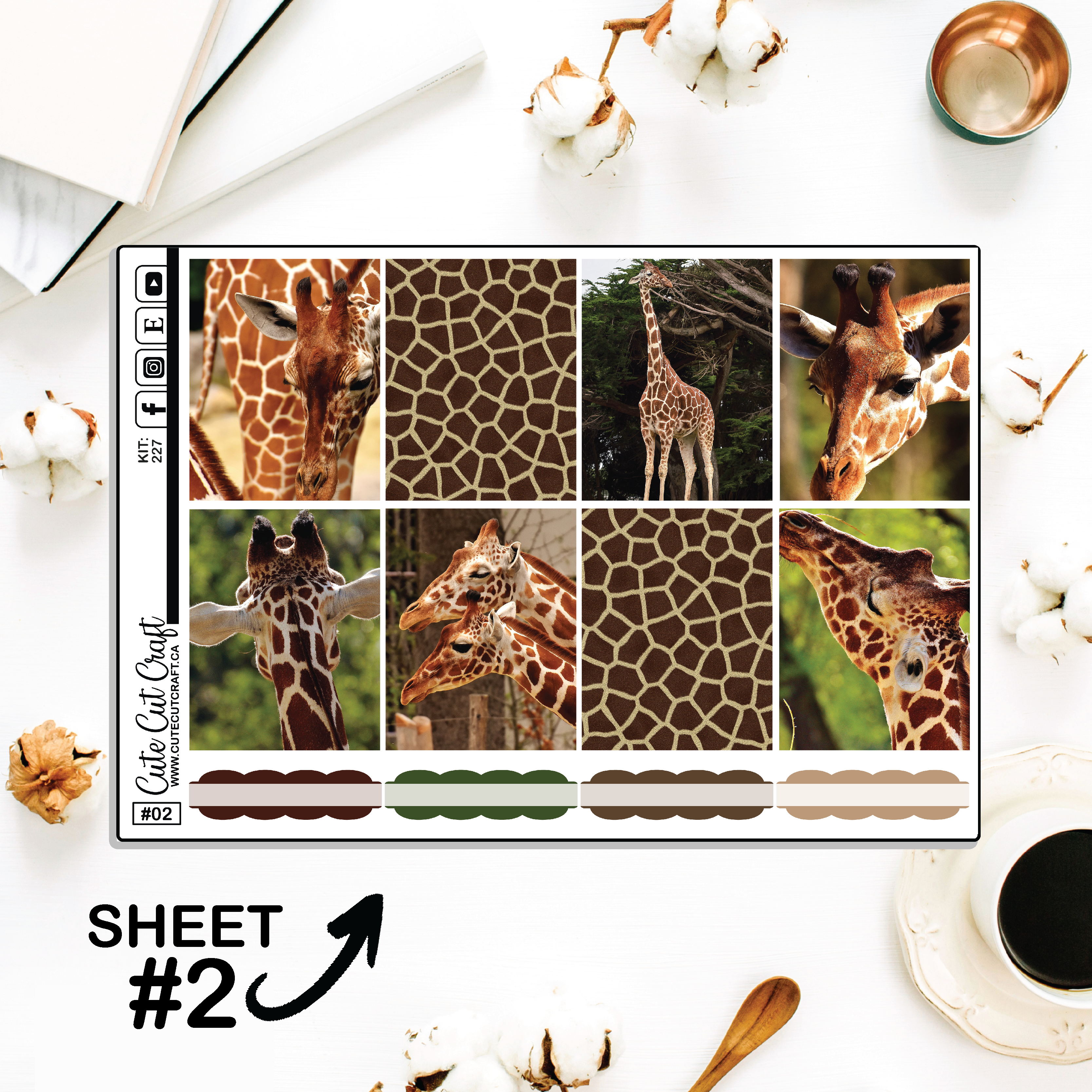 Giraffe #241 || Full Boxes