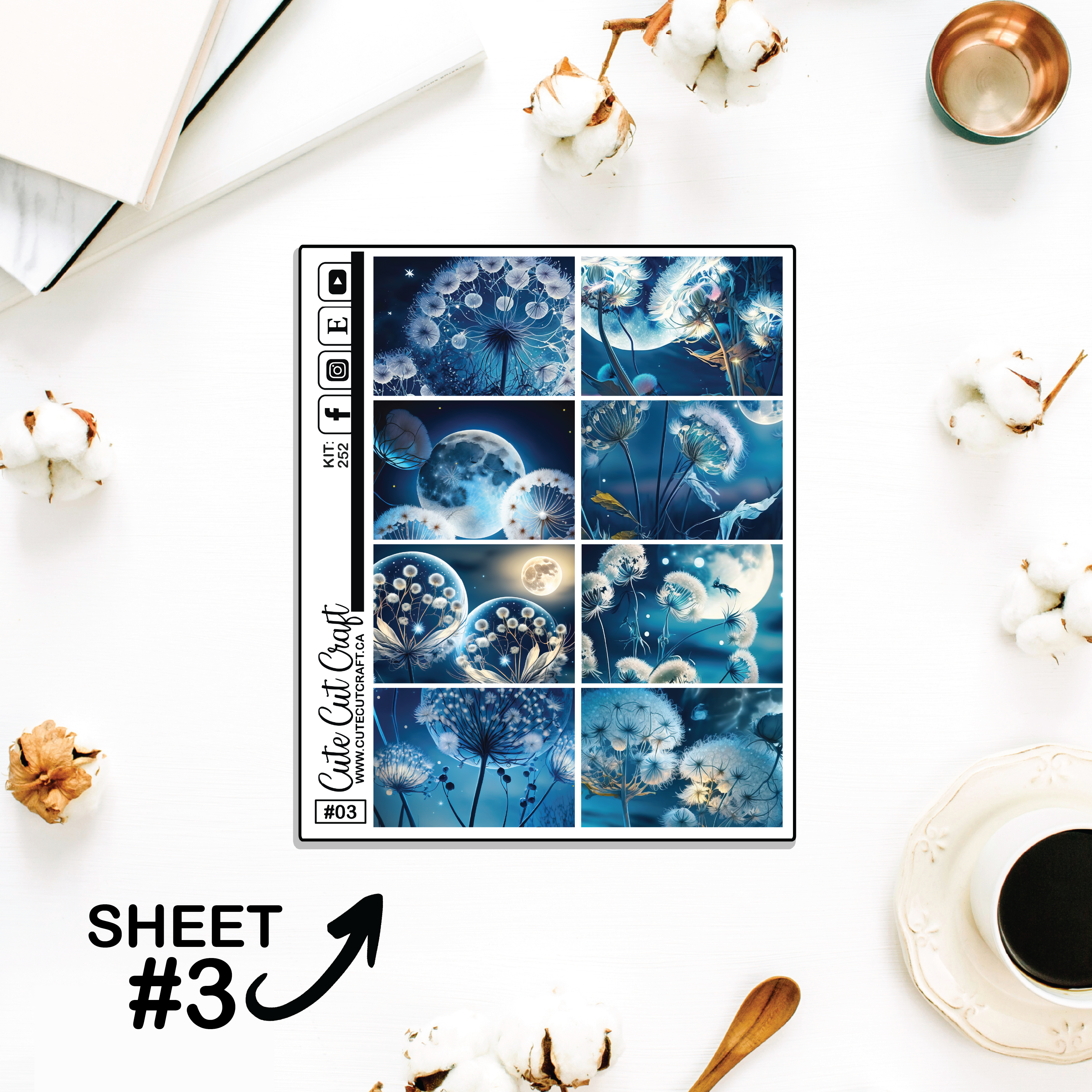 Moonlight Dandy #252 || Full Boxes