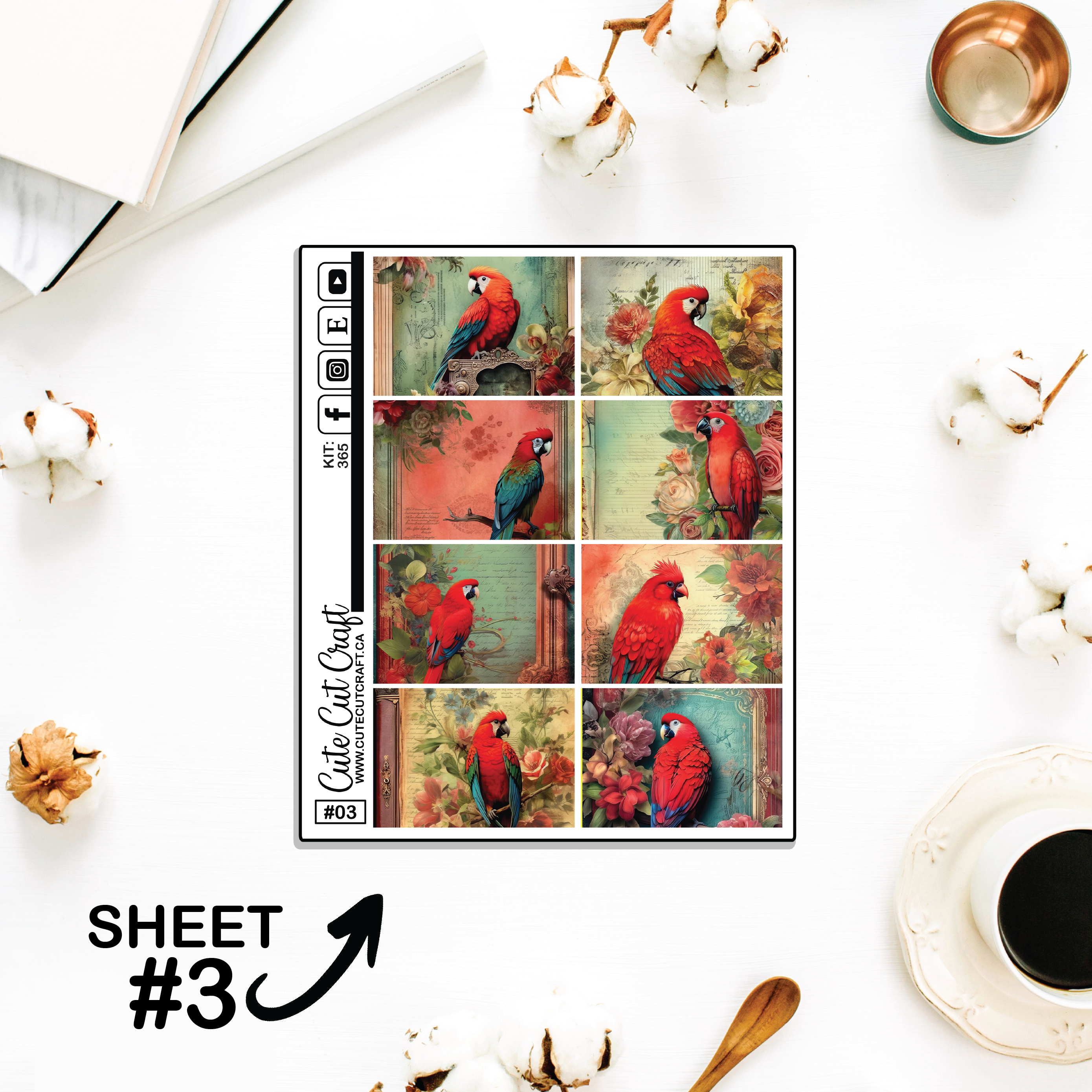 Red Parrot #365 || Full Boxes