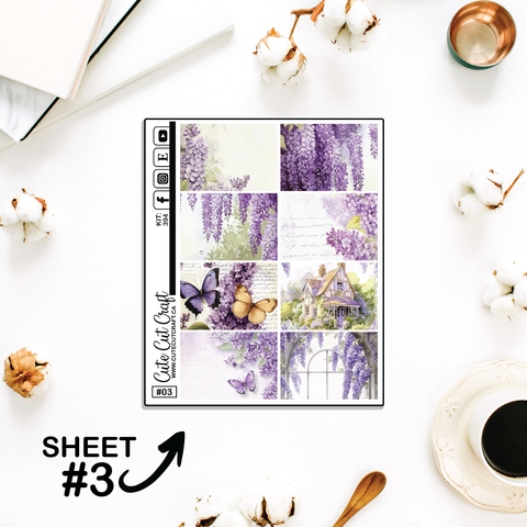 Lilac #394 || Full Boxes