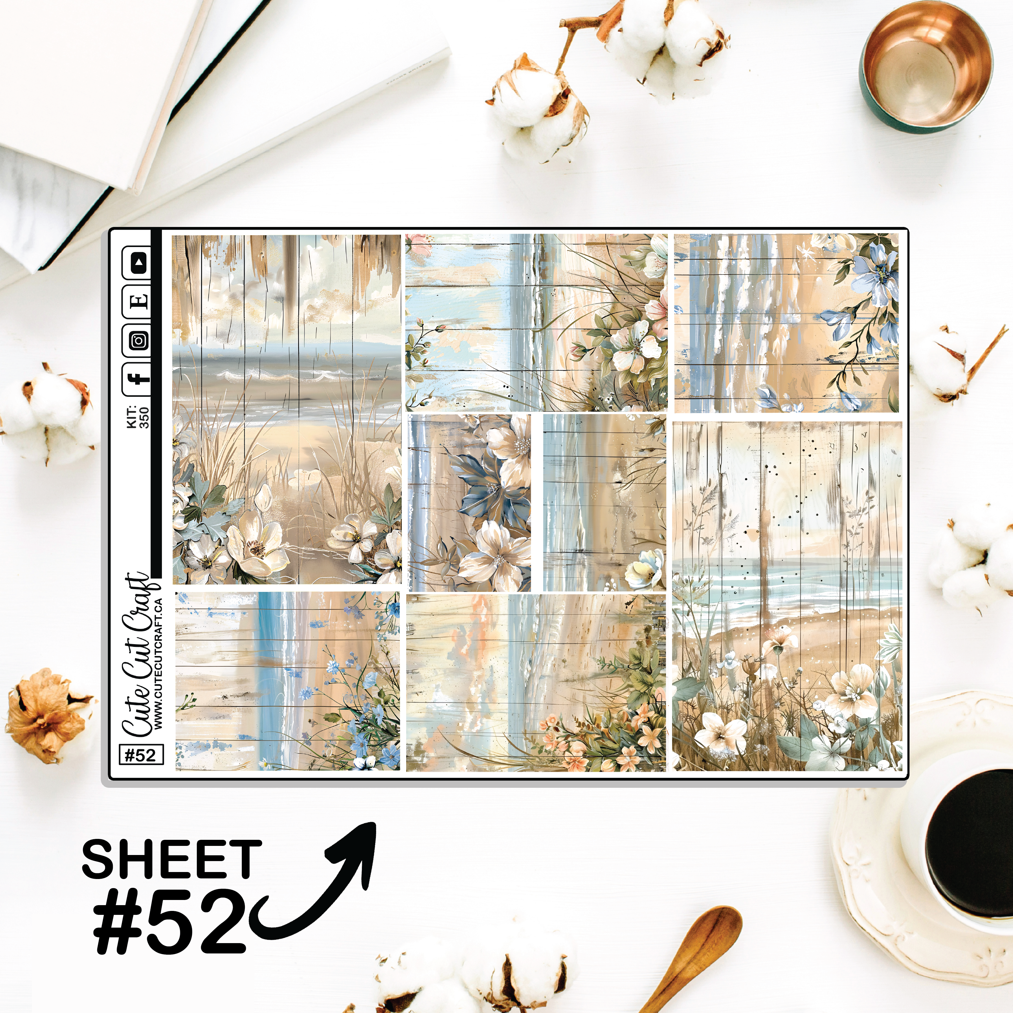Beachscape #350 || Full Boxes