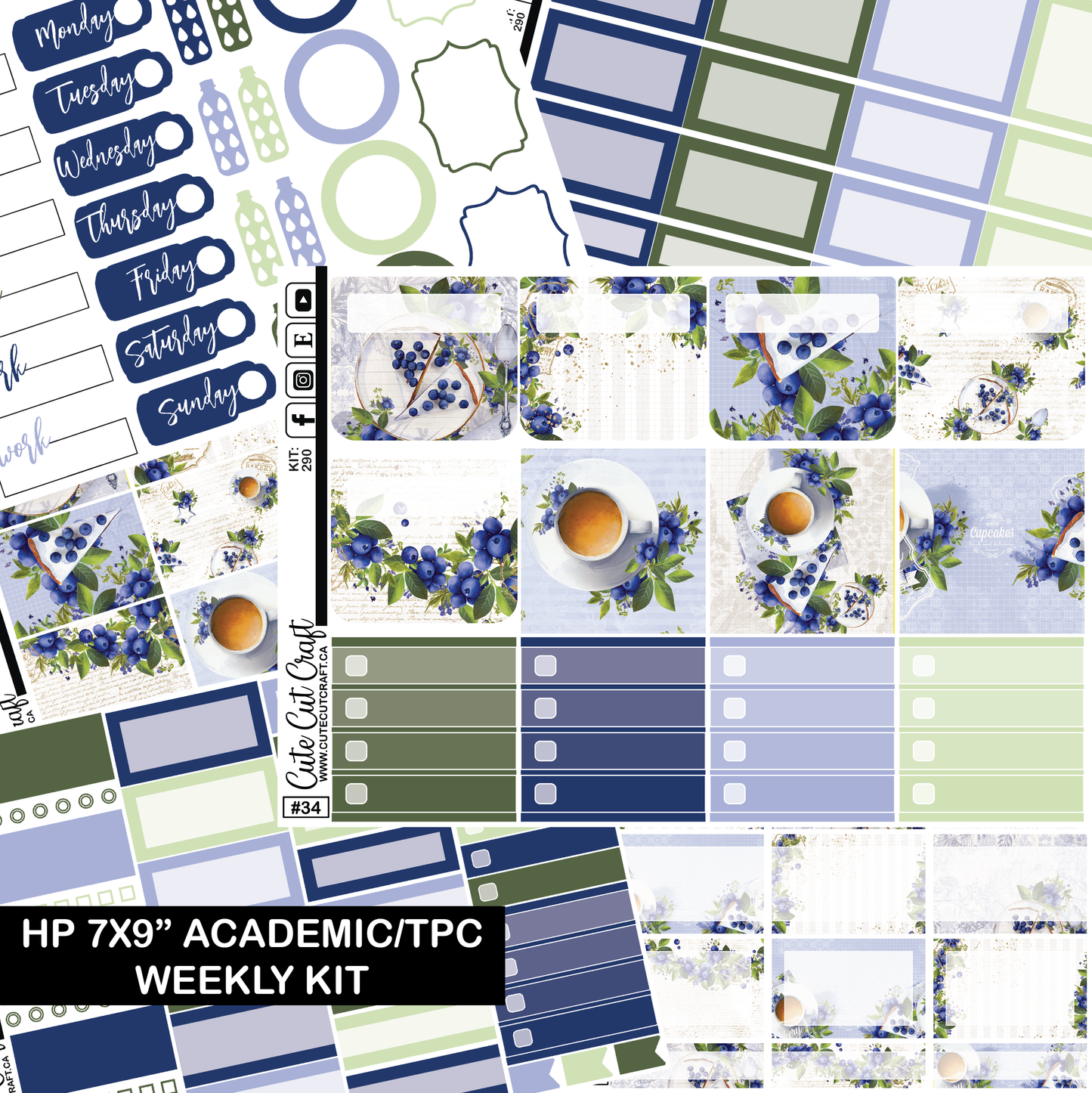 Blueberry #290 || HP Academic Kit