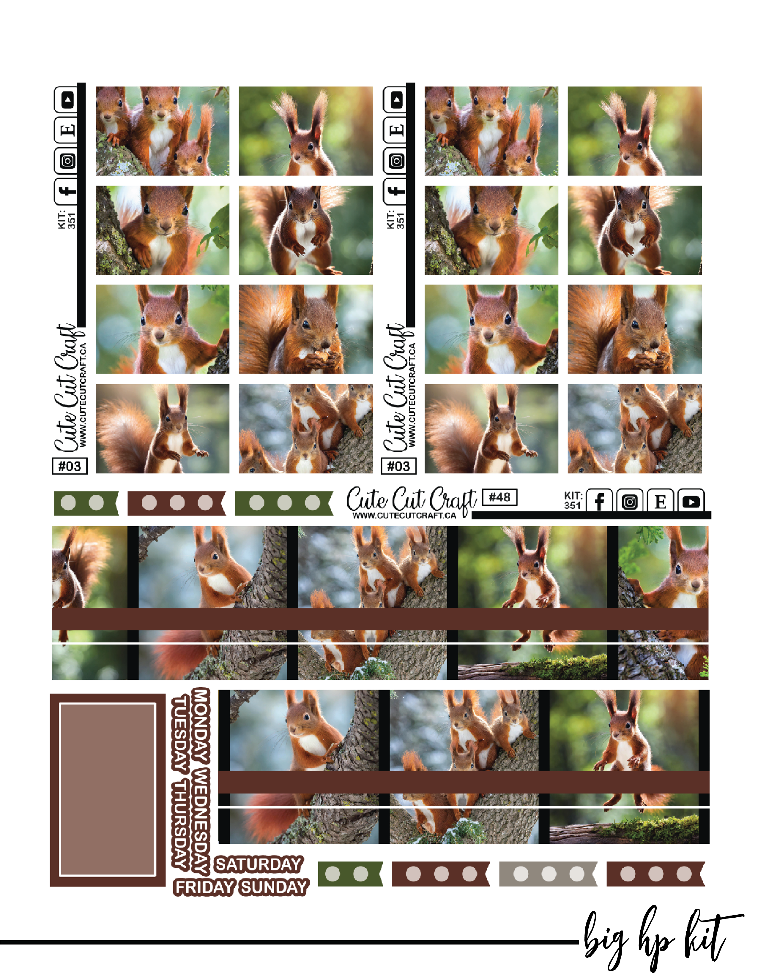 Magic Squirrel #351 || Complete Collection [PRINTABLE]