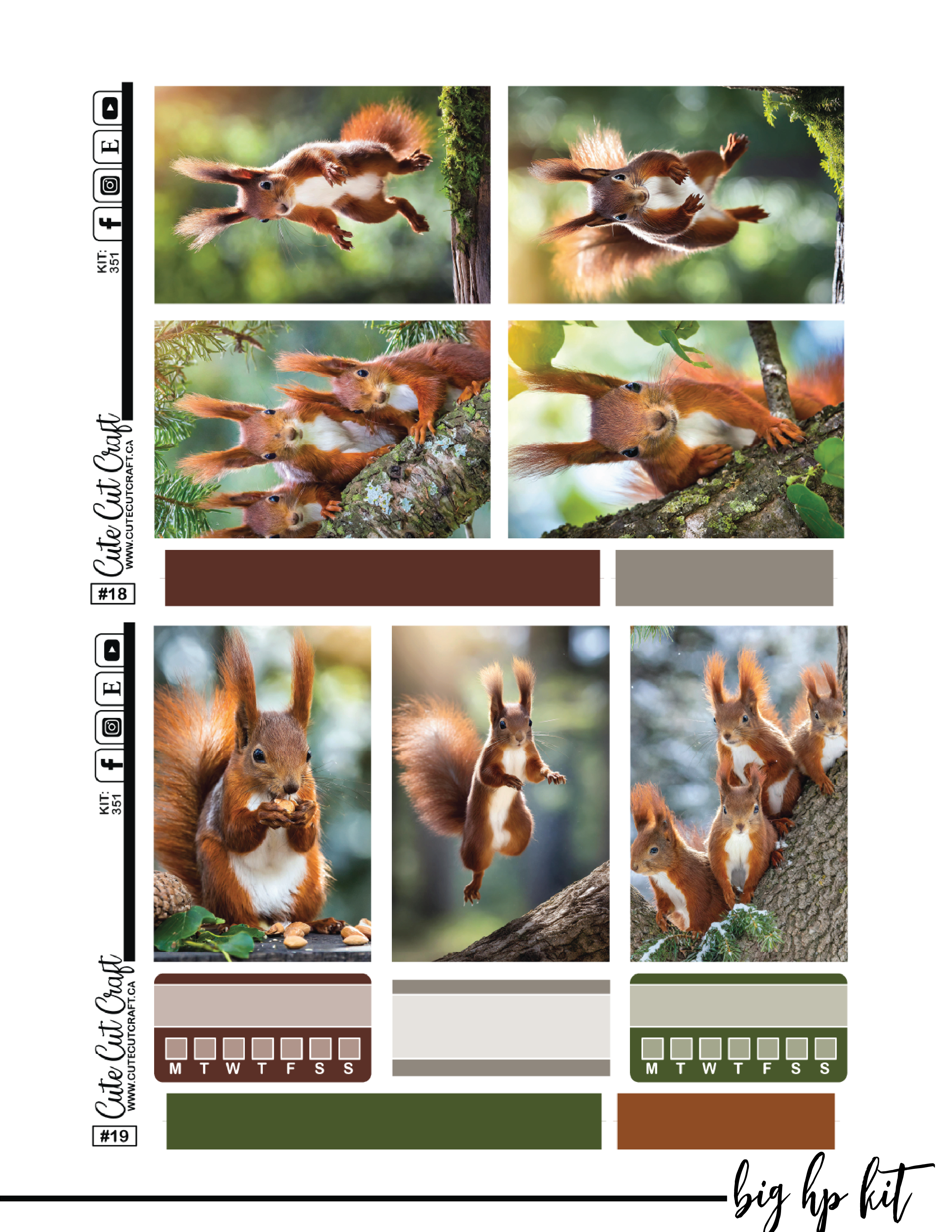 Magic Squirrel #351 || Complete Collection [PRINTABLE]