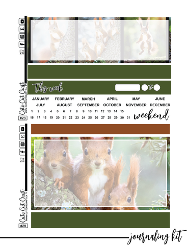 Magic Squirrel #351 || Complete Collection [PRINTABLE]