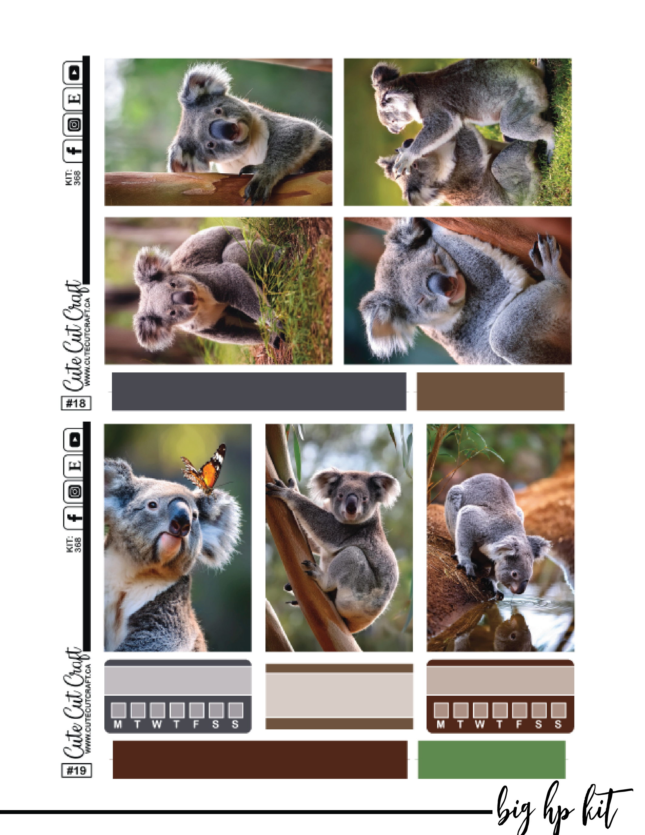 Cute Koala #368 || Complete Collection [PRINTABLE]