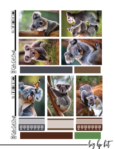 Cute Koala #368 || Big HP [PRINTABLE]