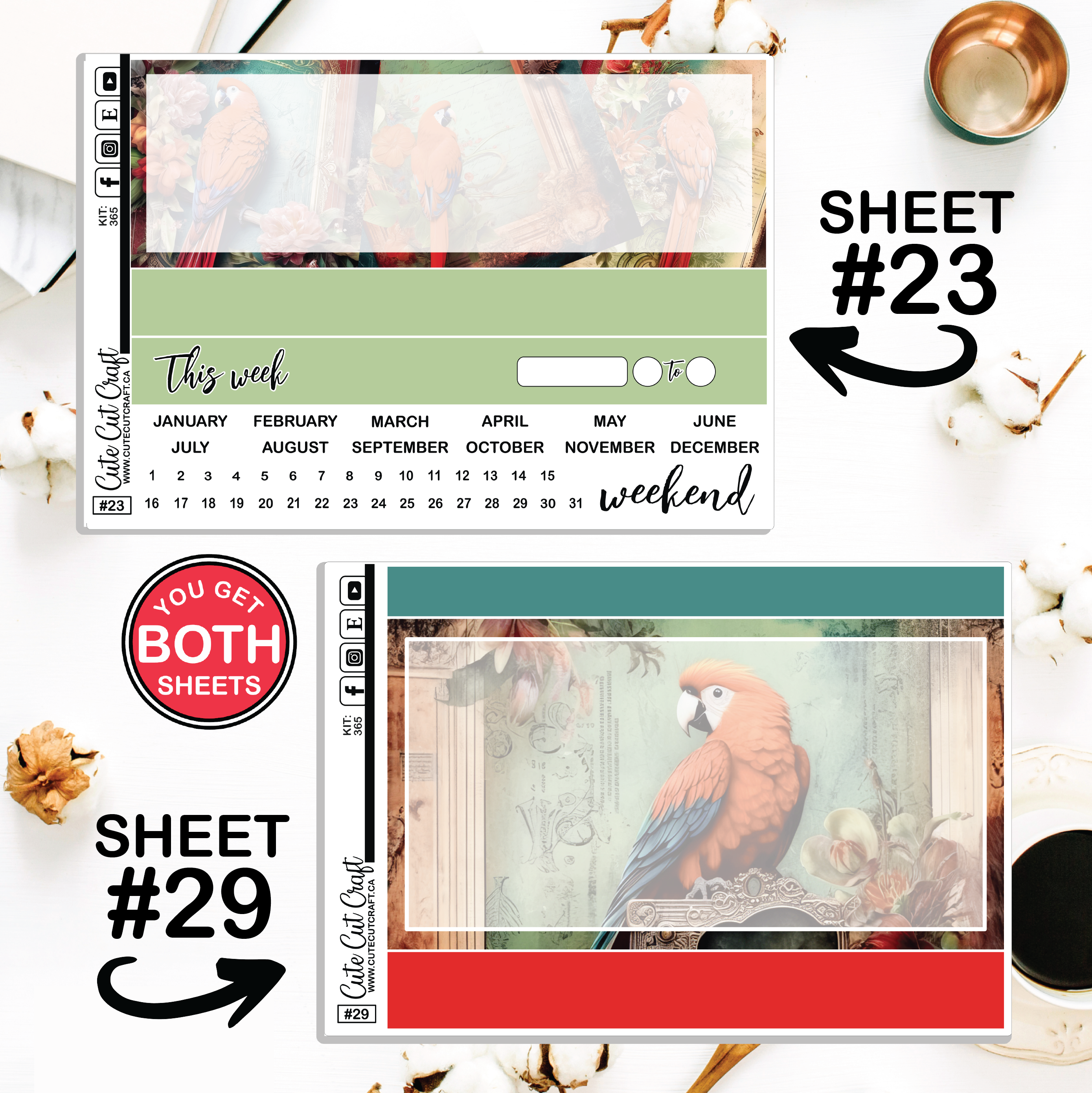 Red Parrot #365 || Journaling Sheets