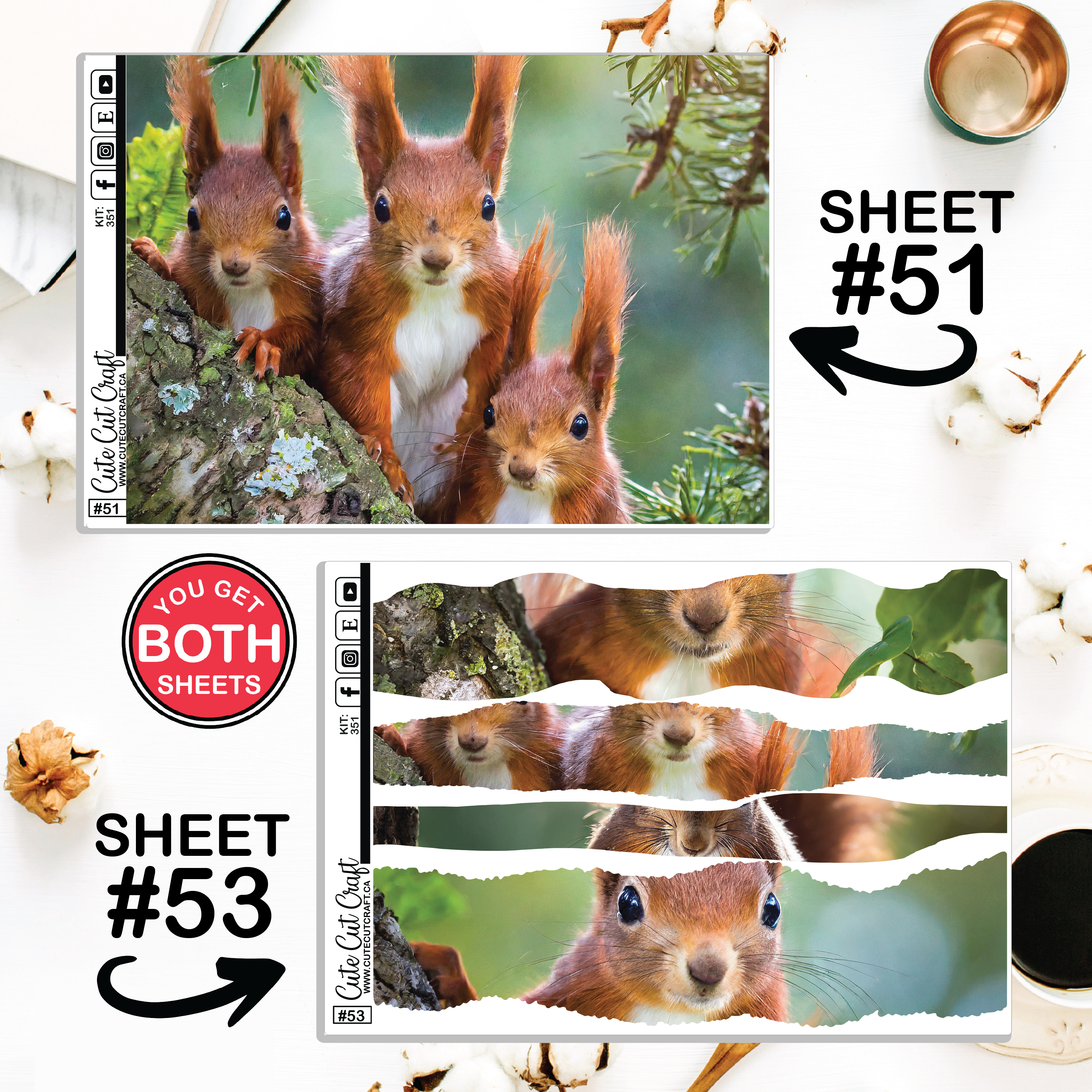 Magic Squirrel #351 || Journaling Sheets