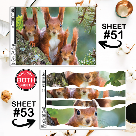 Magic Squirrel #351 || Journaling Sheets