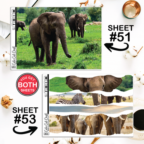 Elephant Expedition #349 || Journaling Sheets