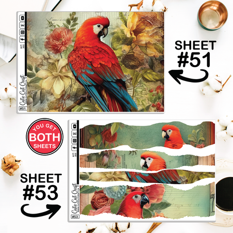 Red Parrot #365 || Journaling Sheets