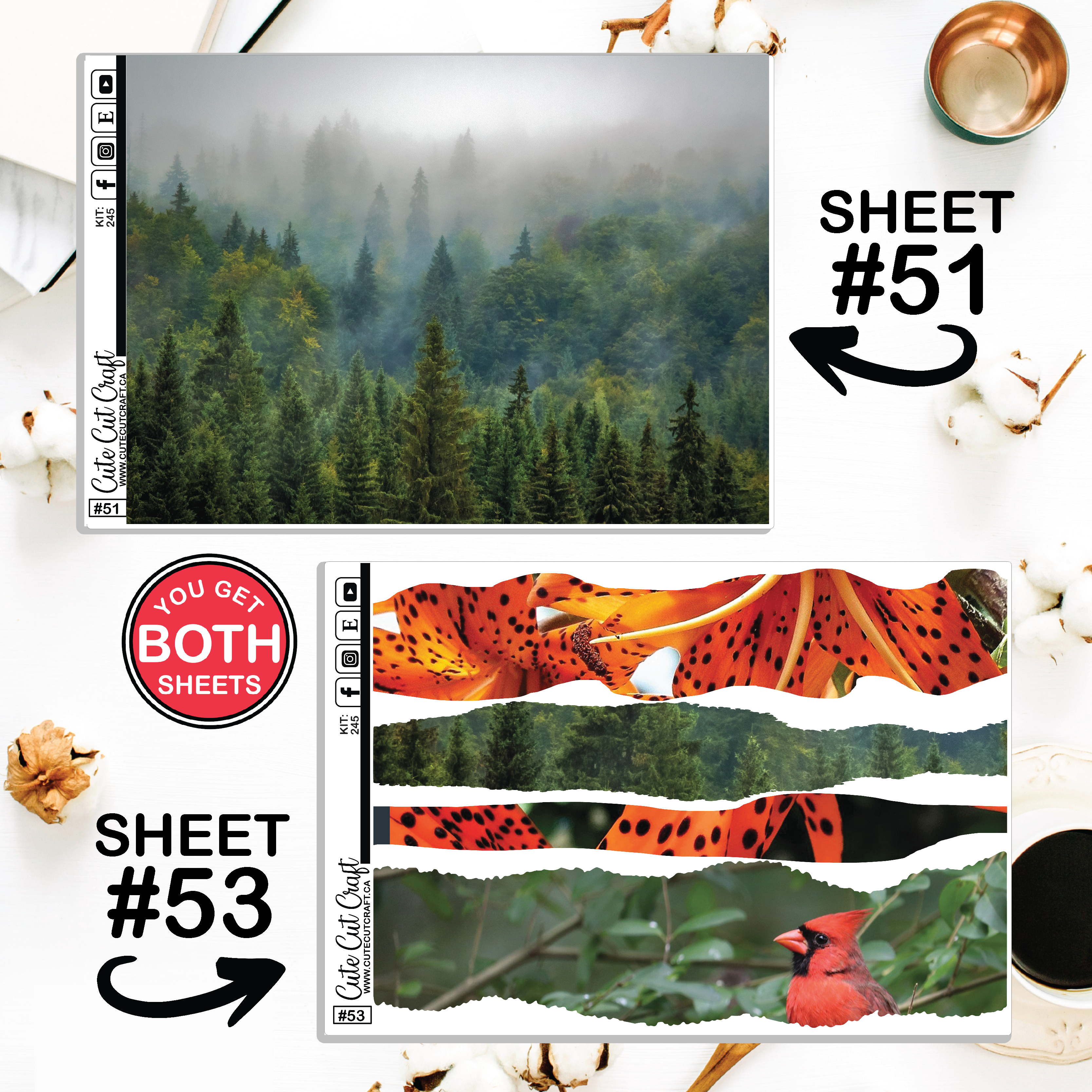 Northern Forest #245 || Journaling Sheets