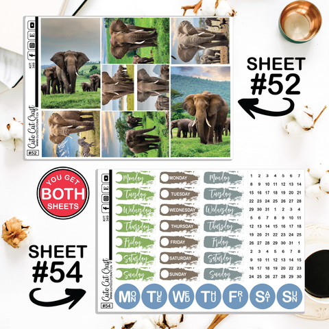 Elephant Expedition #349 || Journaling Sheets