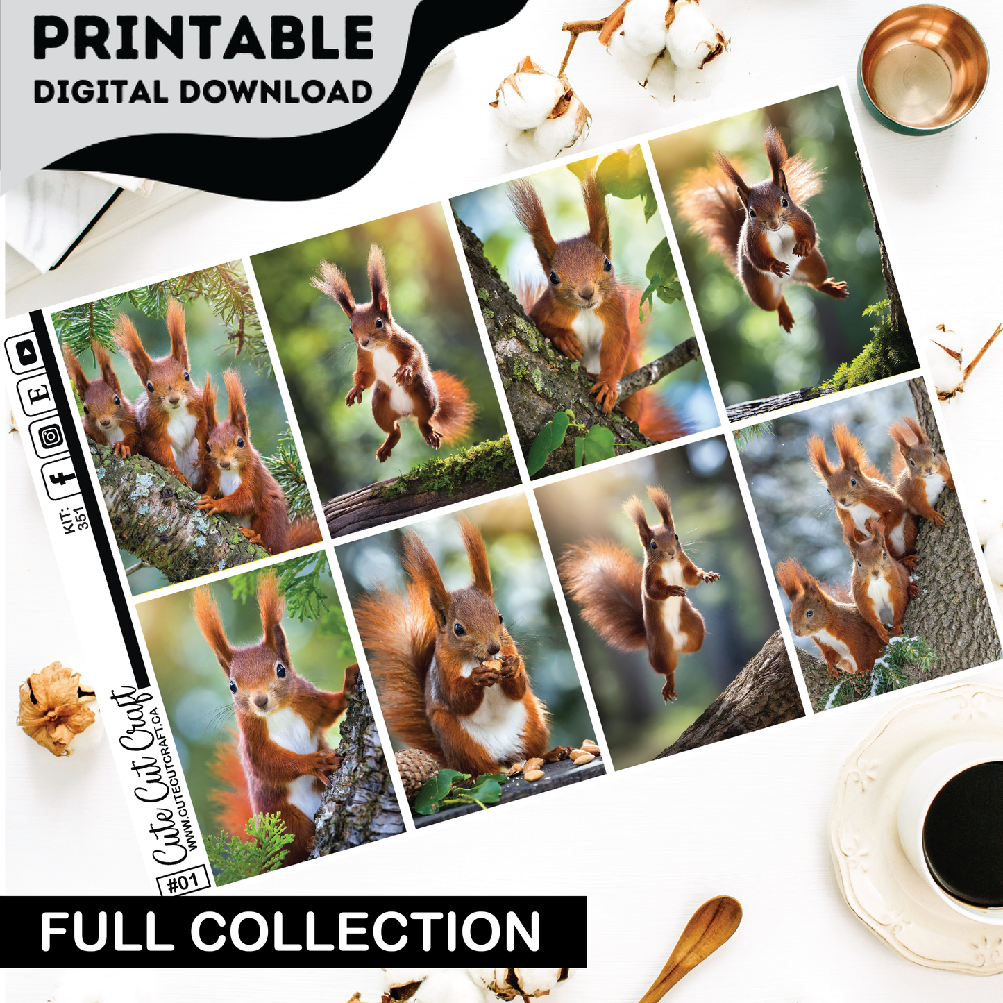 Magic Squirrel #351 || Complete Collection [PRINTABLE]