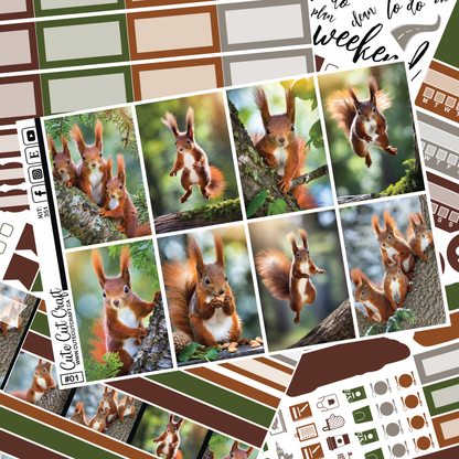 Magic Squirrel #351 || Complete Collection [PRINTABLE]