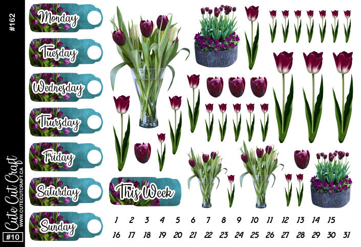 Purple Tulip #162 || Date Covers & Deco