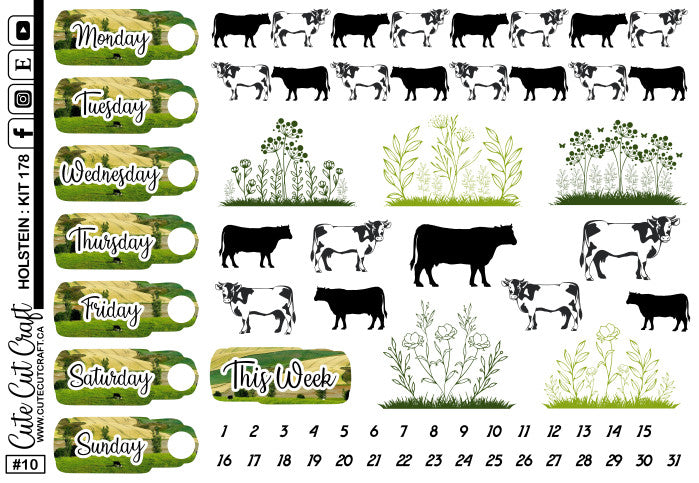 Holstein #178 || Date Covers & Deco