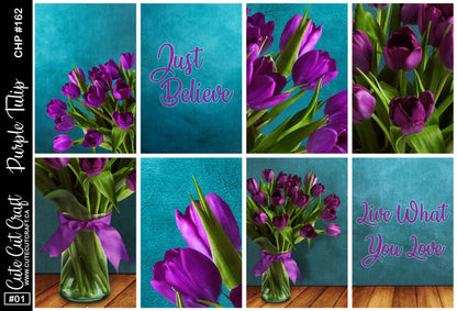 Purple Tulip #162 || EC/HP Full Boxes [Foil]