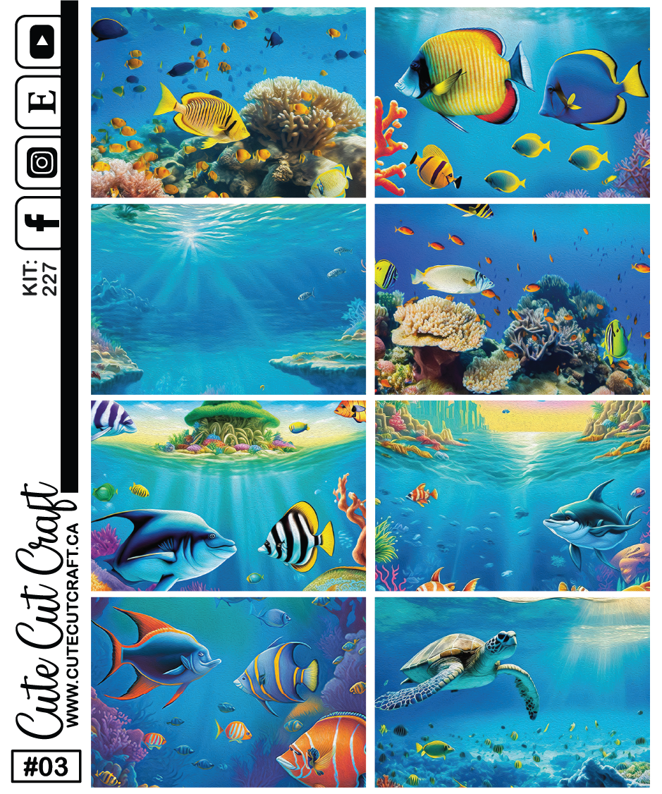 Ocean Life #256 || HP Academic Kit