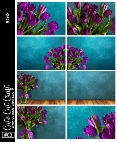 Purple Tulip #162 || Short Boxes