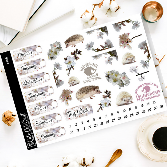 Hedgehog Bloom #168 || Date Covers & Deco