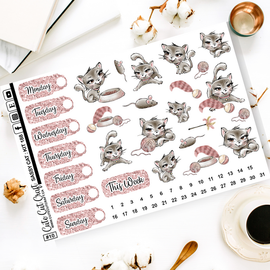 Sassy Cat #188 || Date Covers & Deco