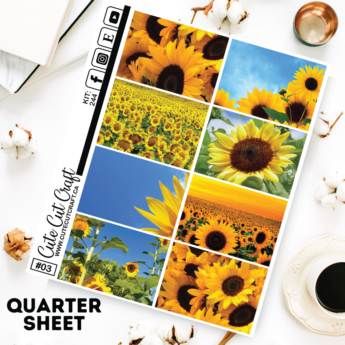 Sunflower #244 || Short Boxes