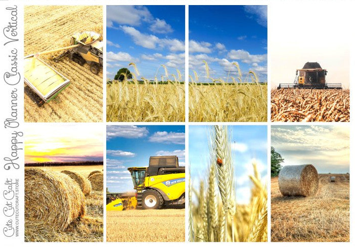 Fall Harvest #081 || EC/HP Full Boxes